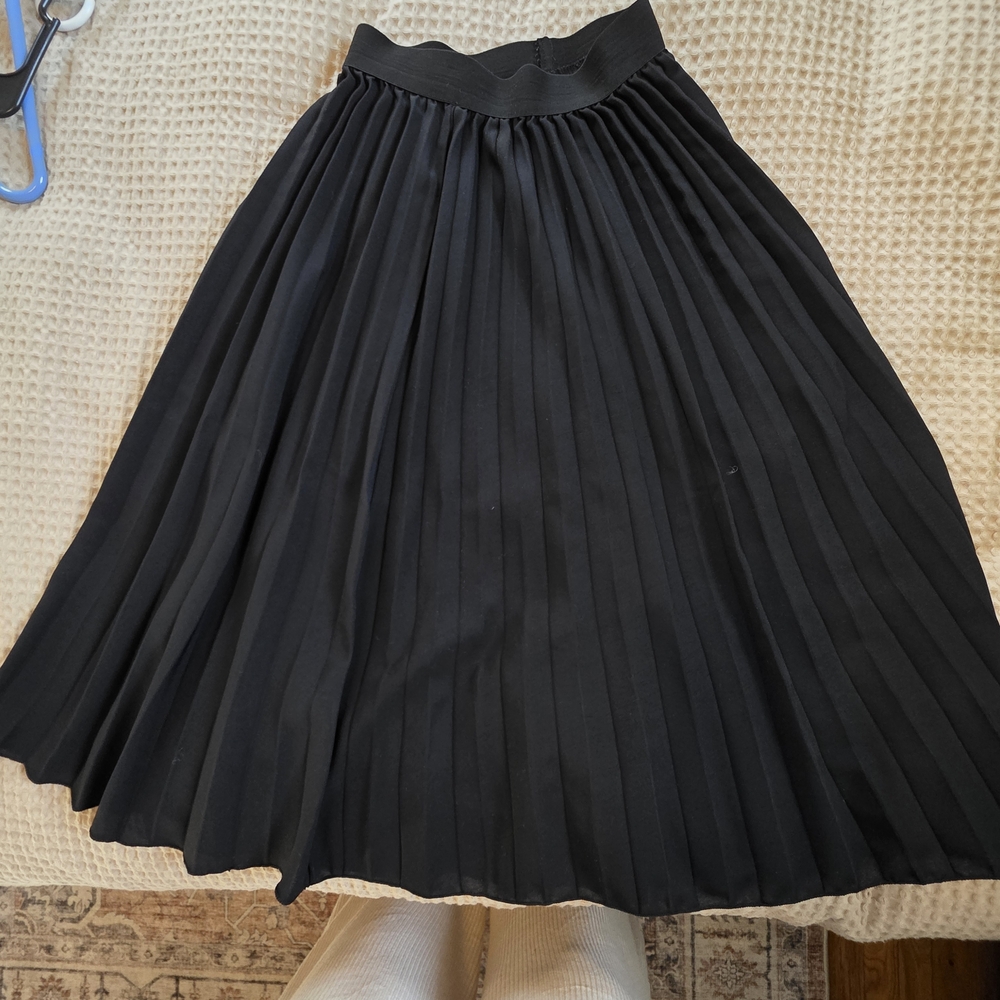 Elegant Black Pleated Skirt